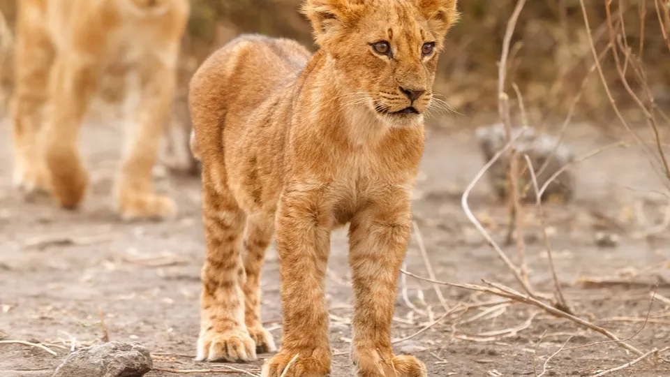 Фото: freepik.com