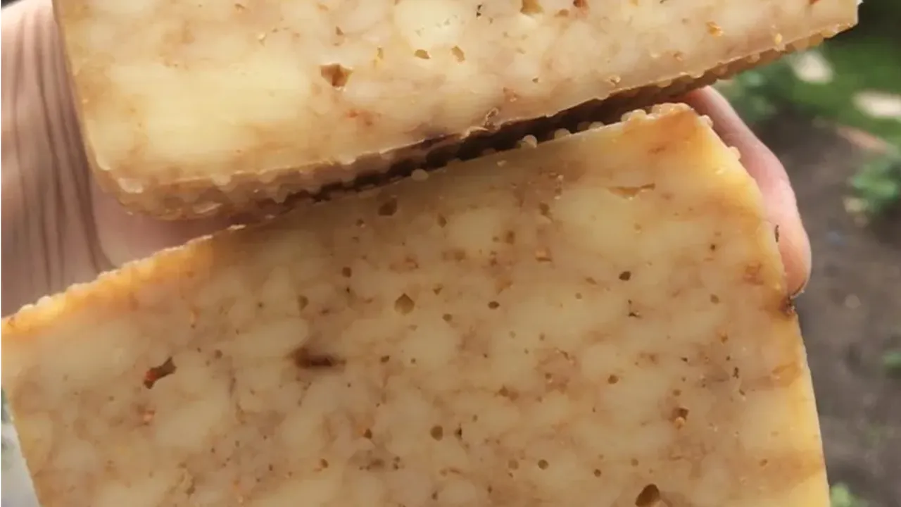 личный архив Полины Савиной