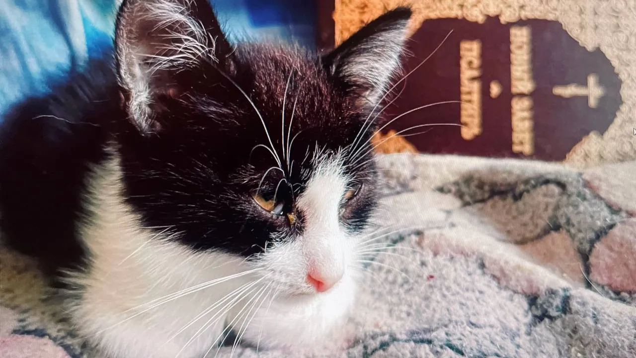 Фото: Екатерина Филиппова