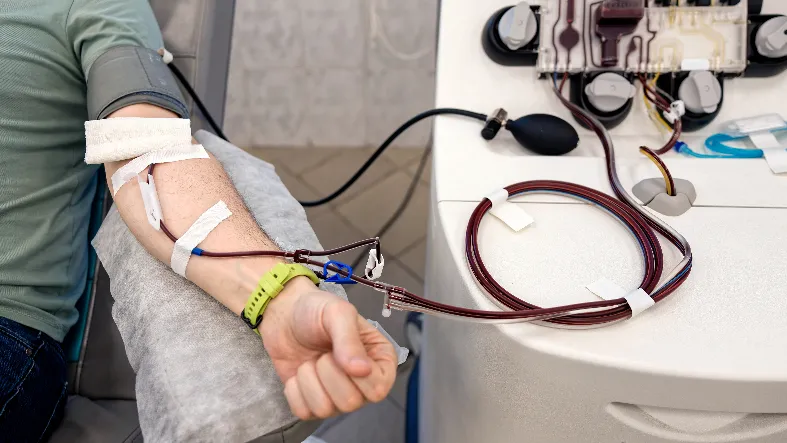 Фото: медиасток.рф