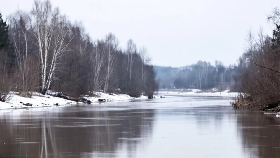 REGIONS/Сгенерировано нейросетью