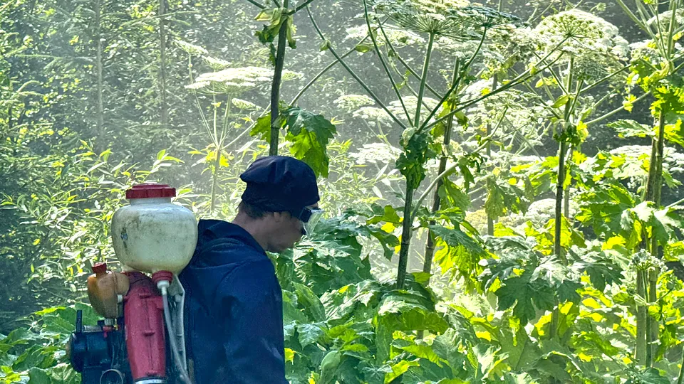 Фото: МедиаБанк Подмосковья/Татьяна Рунова