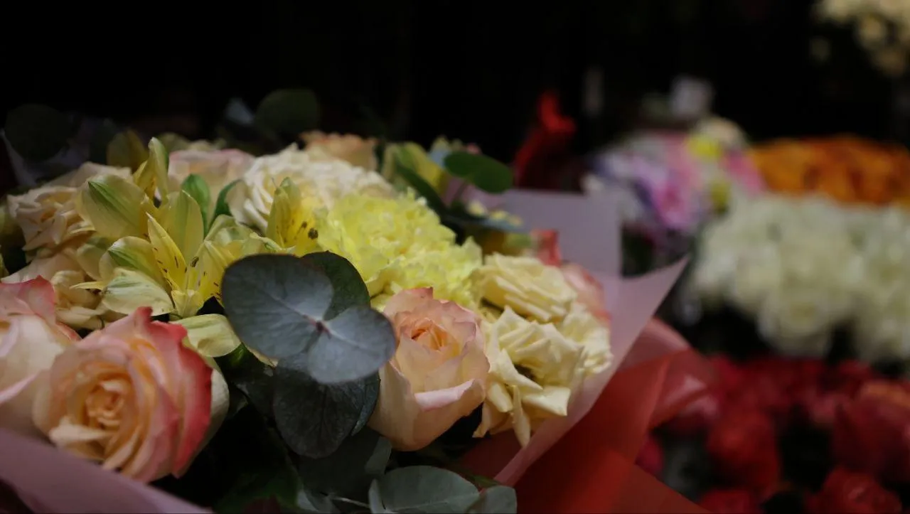 REGIONS/Роман Малышенко