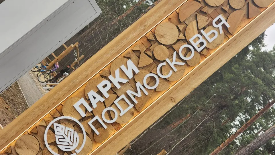 Фото: Министерство благоустройства Московской области