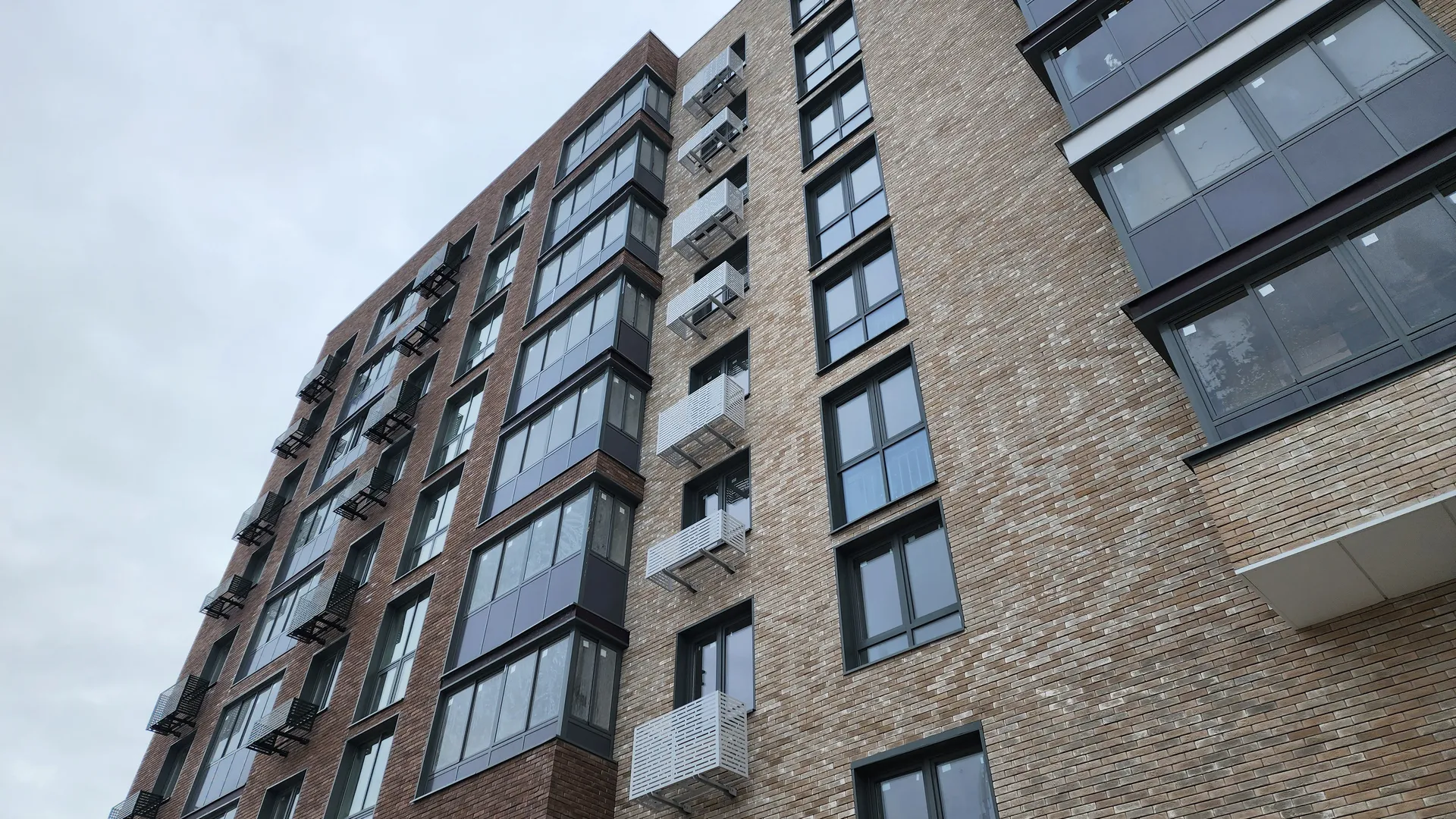 Фото: МедиаБанк Подмосковья/Ольга Шеметова