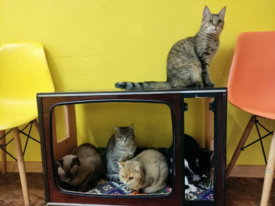 Фото:&nbsp;Мила Сергиенко