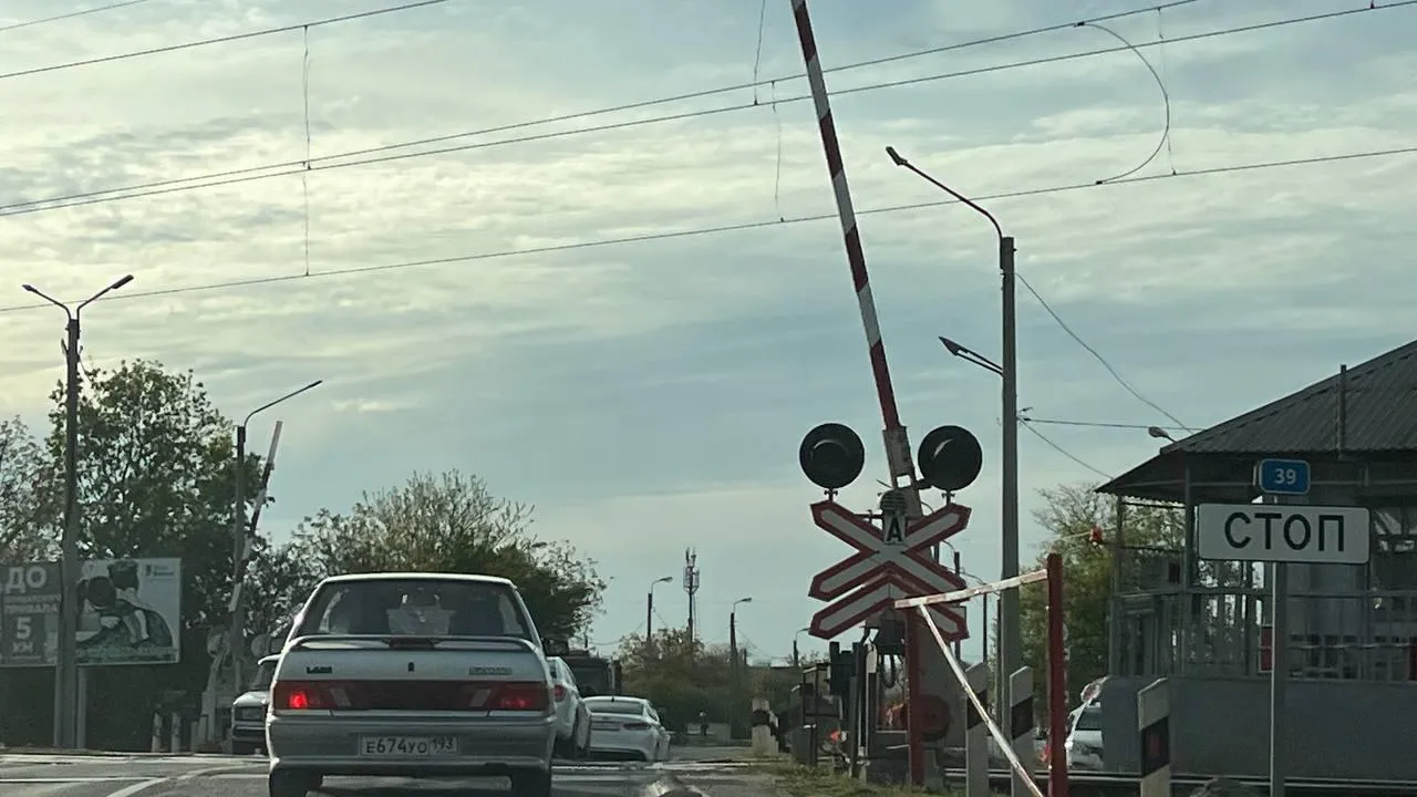 Фото: Министерство транспорта и дорожной инфраструктуры Московской области