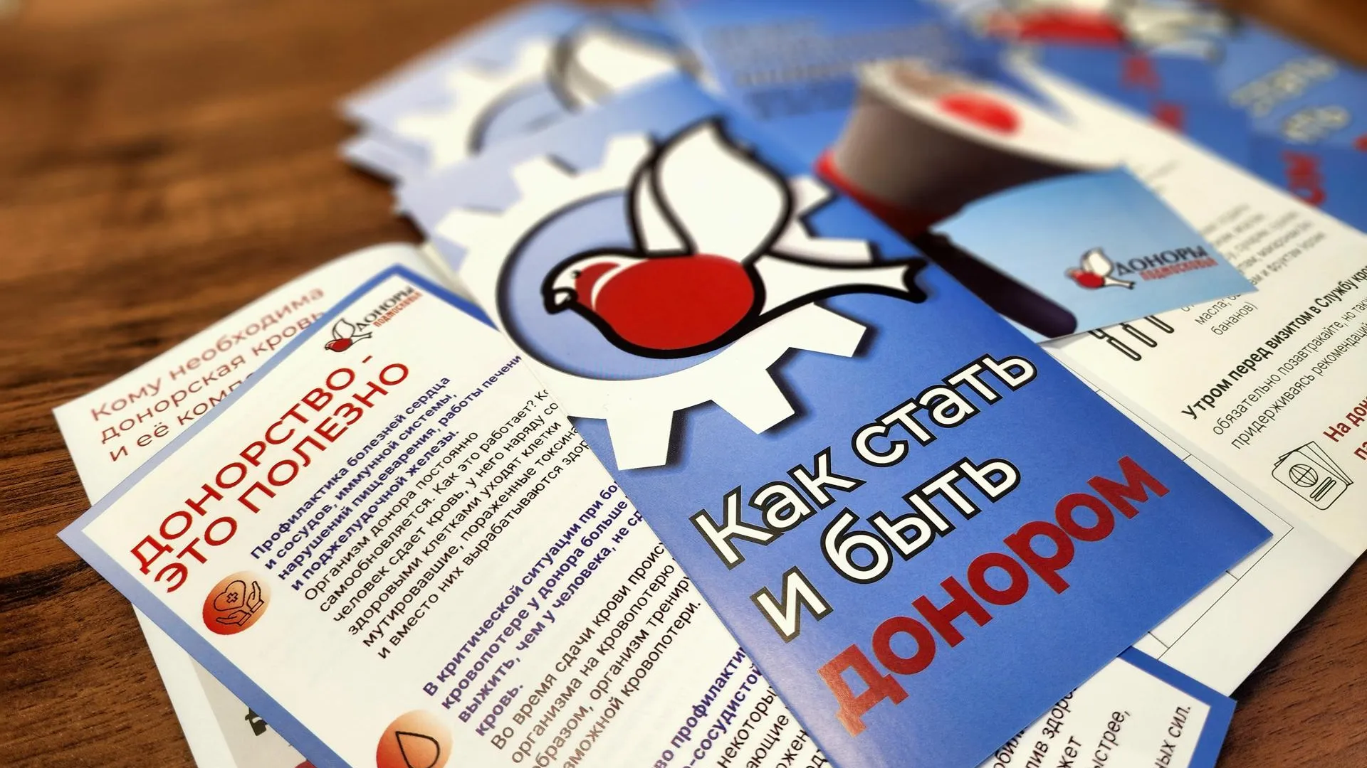 МедиаБанк Подмосковья/Мария Овчинникова