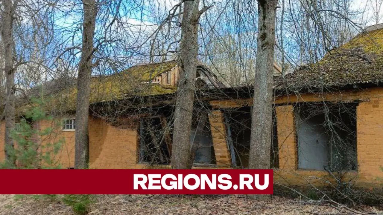 Фото: Евгений Рой