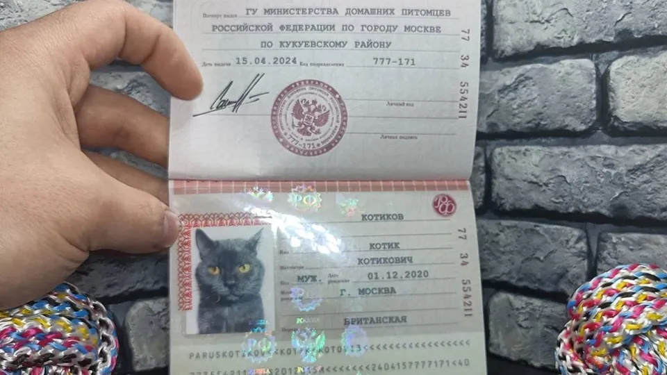 Фото: из личного архива Станислава