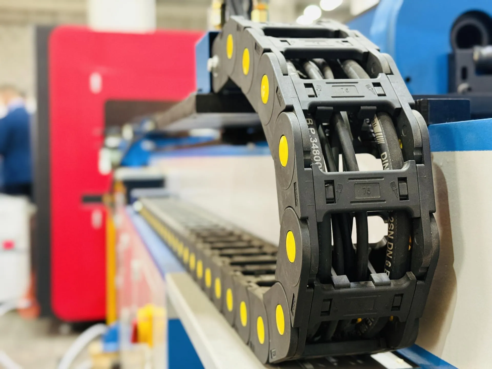 Фото: МедиаБанк Подмосковья/Ольга Стаферова