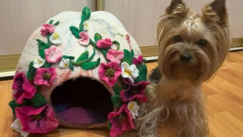 Фото: t.me/mukckd_krs