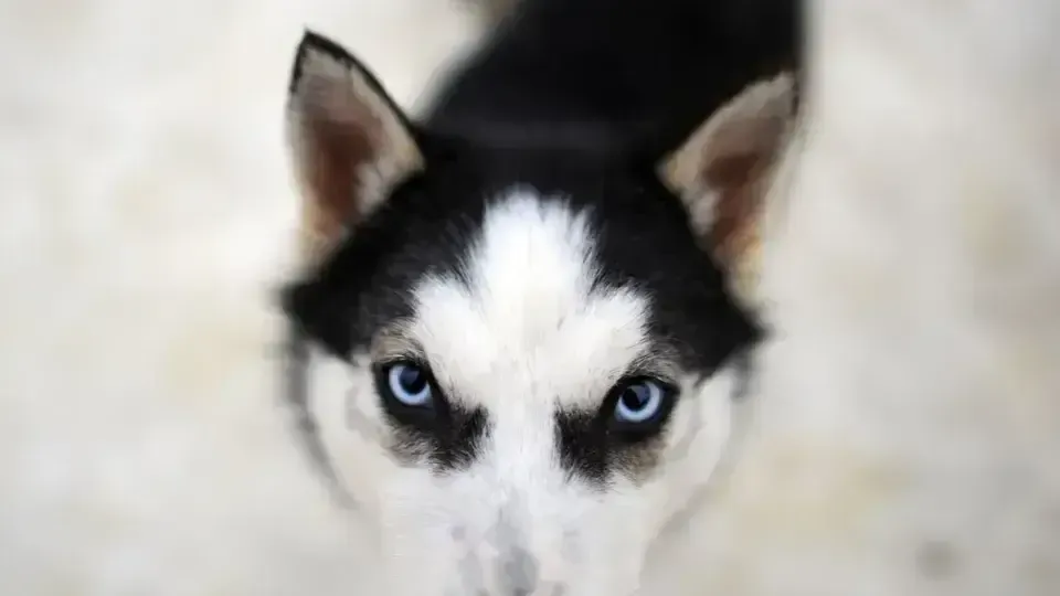 медиасток.рф