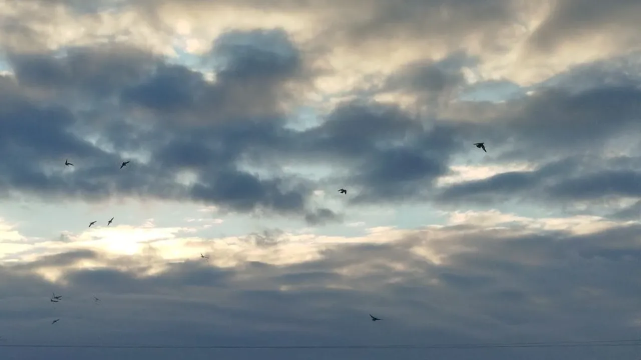 REGIONS/Юлия Куделькина