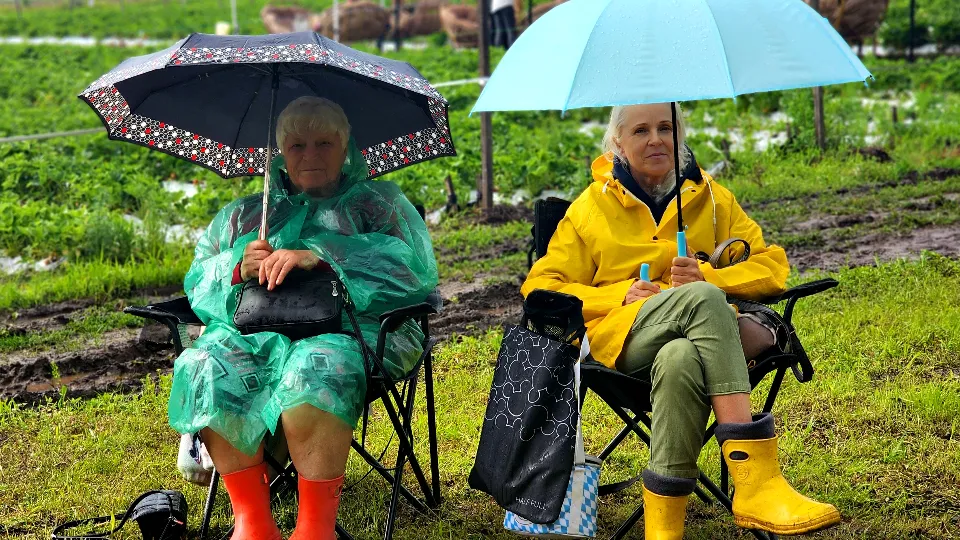 Фото: МедиаБанк Подмосковья/Мария Панина