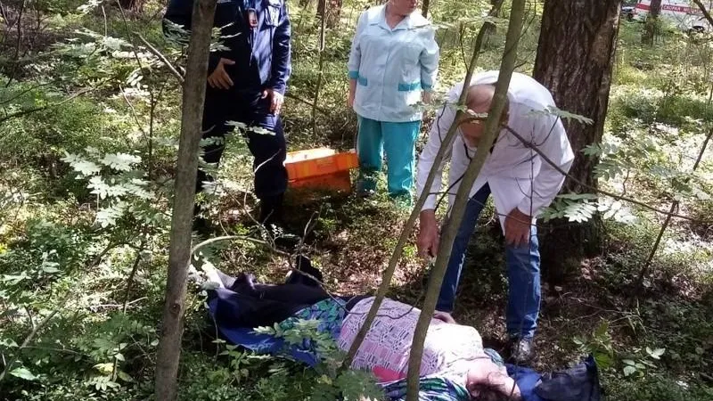 Женщину, у которой в лесу случился инсульт, спасли в Шатуре