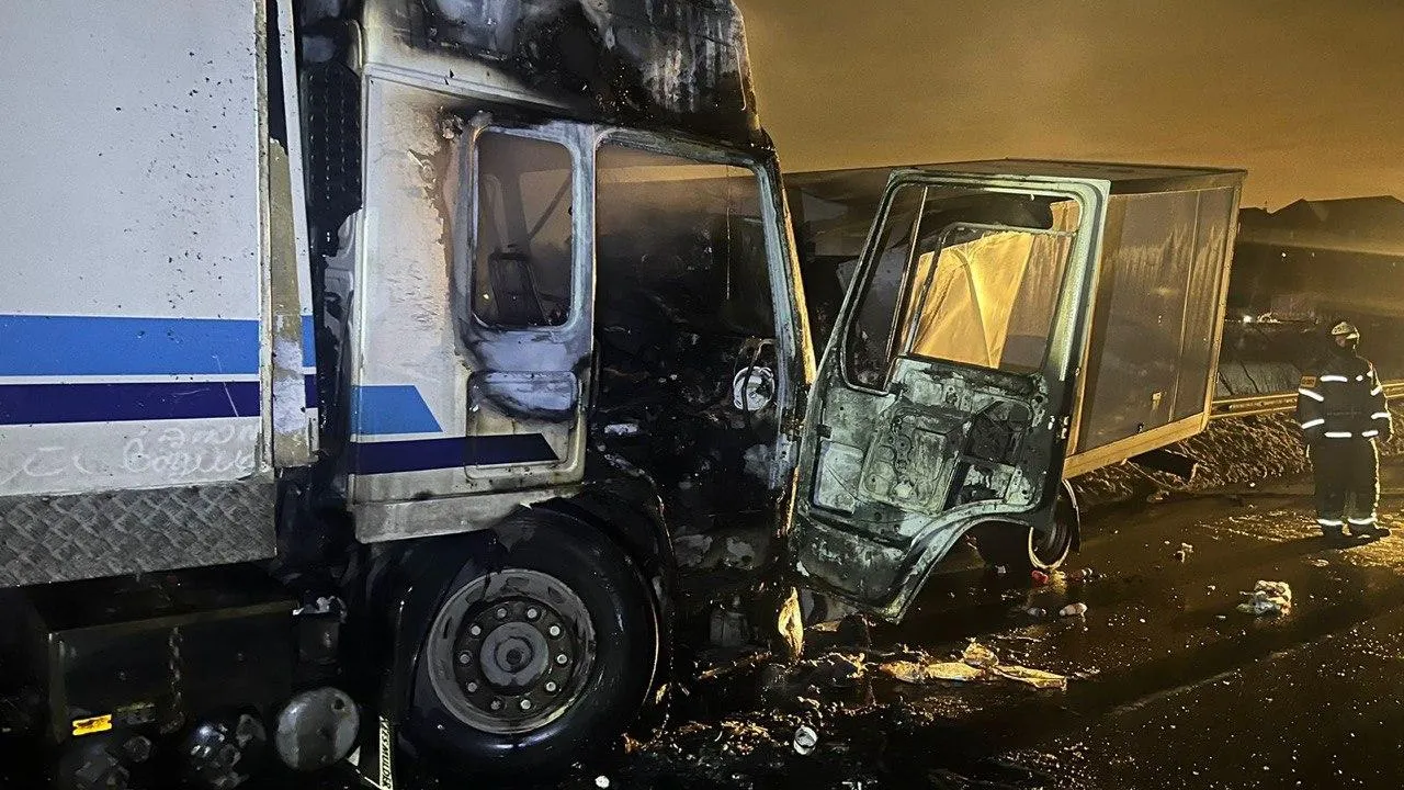 фото Подмосковная полиция / telegram