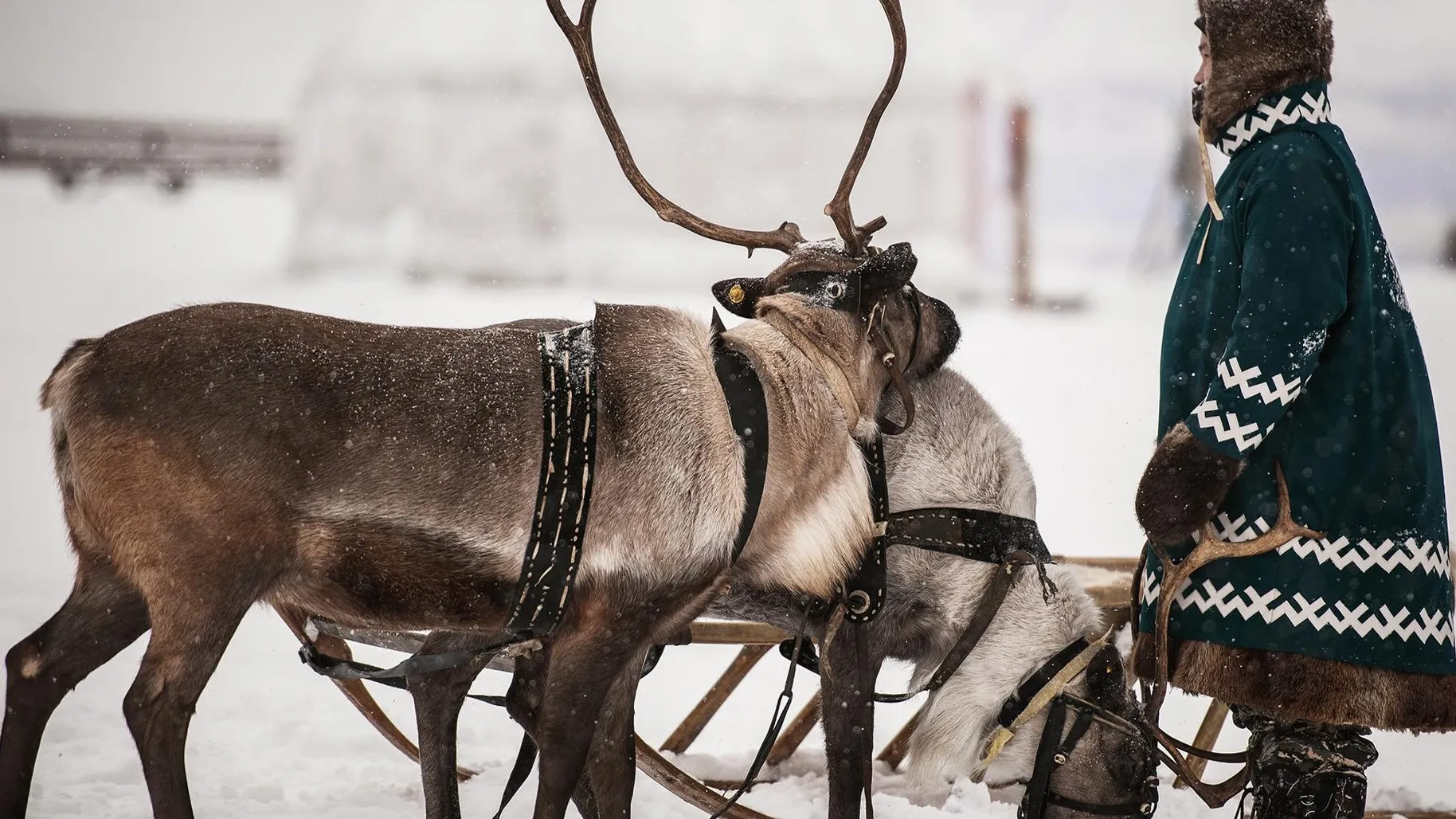 Фото: этнопарк «Кочевник»