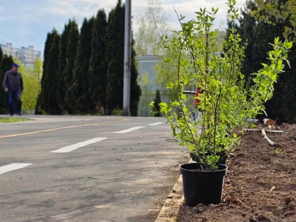 Фото: МБУК  «Городской парк культуры и отдыха»