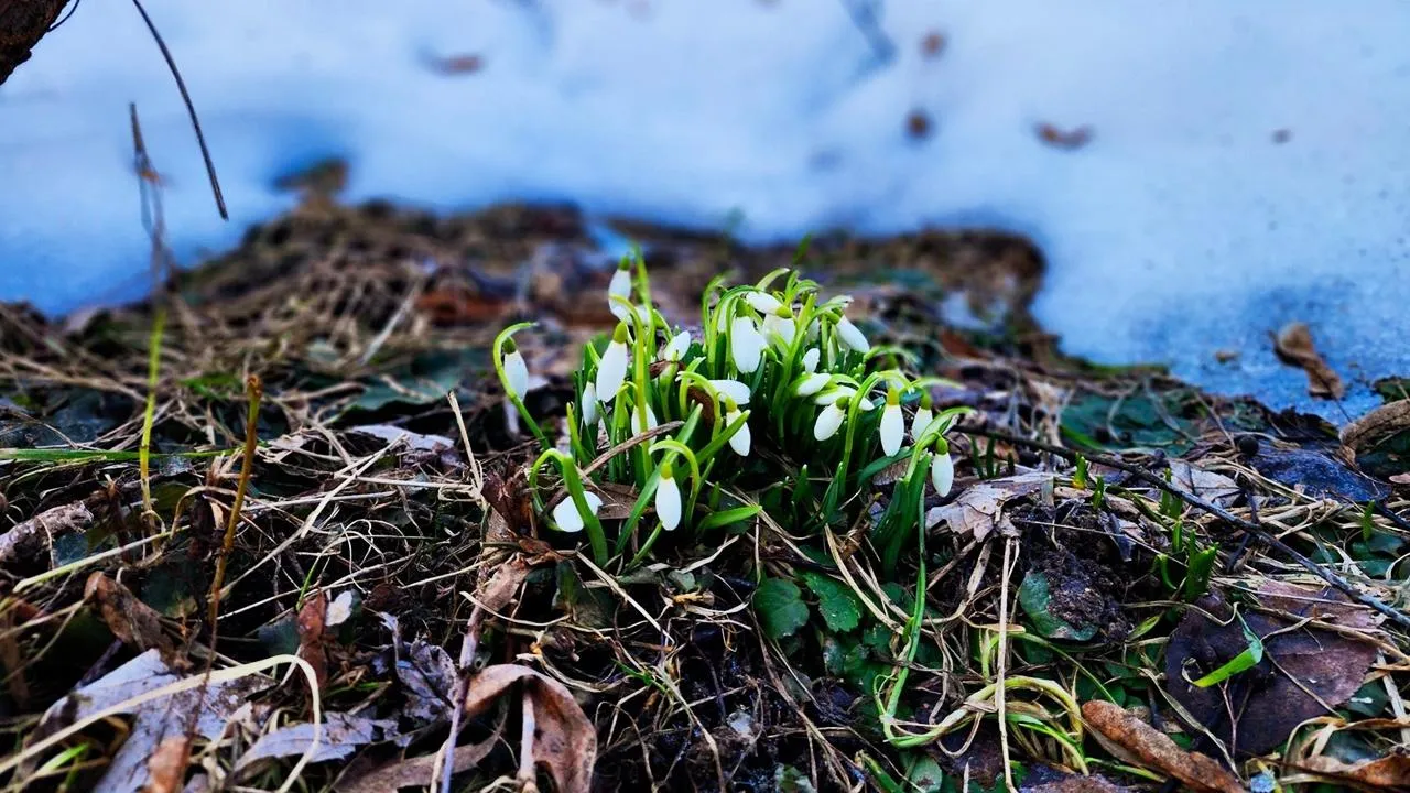 REGIONS/Мария Панина