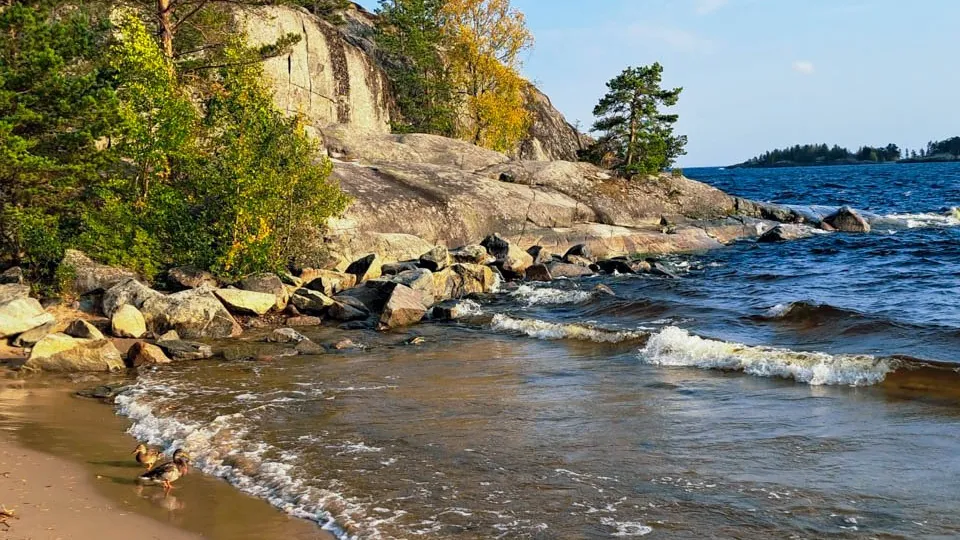 Фото: REGIONS/Елена Никольская