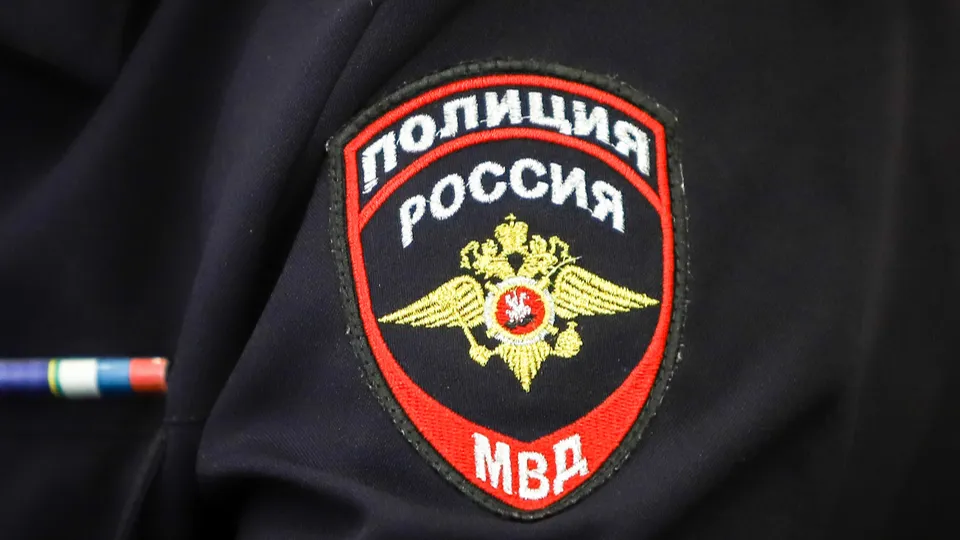 Фото: пресс-служба администрации г. о. Кашира