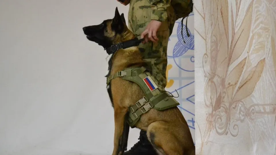 Фото: управление образования администрации г. о. Электросталь