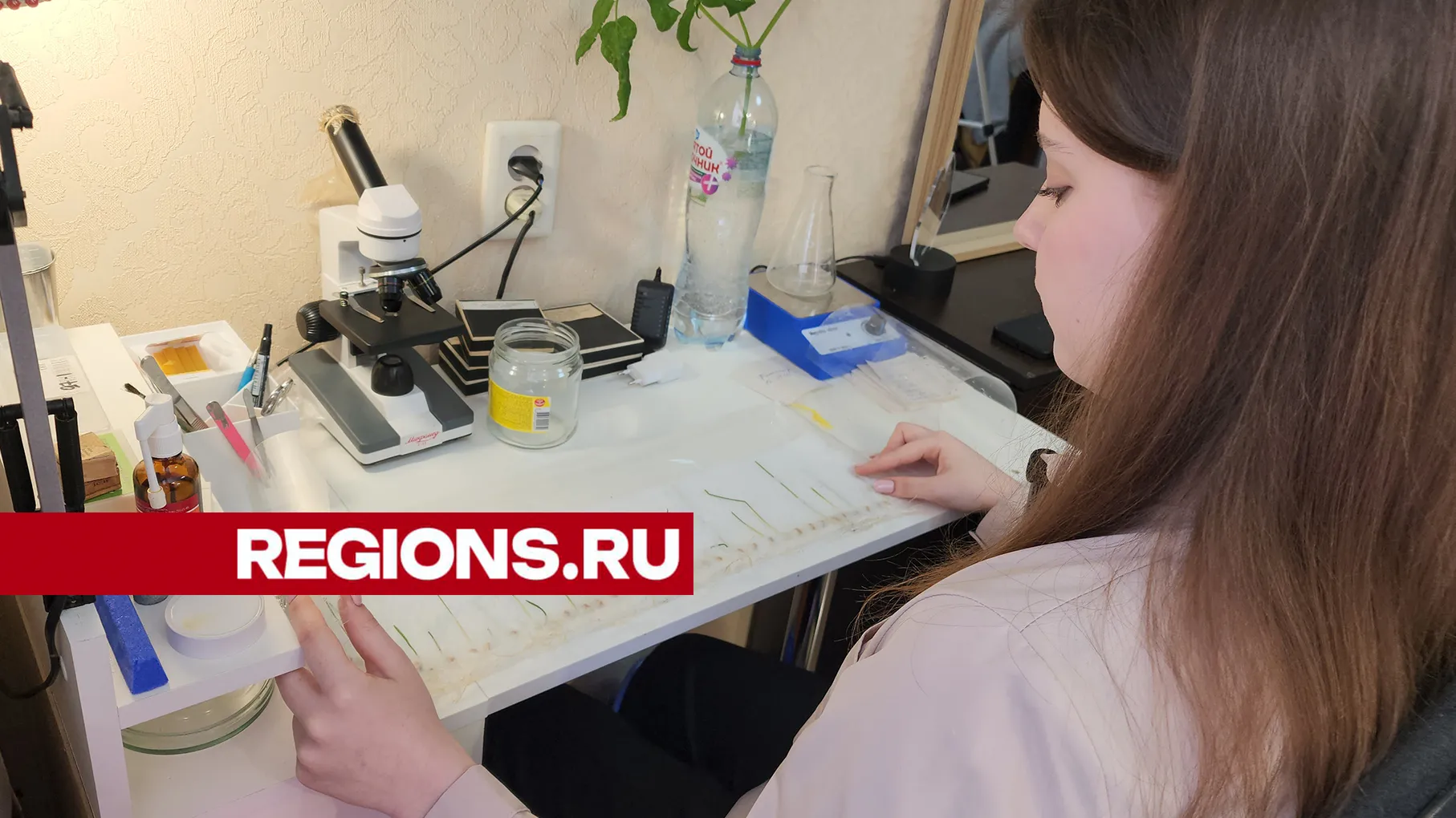 Фото: Андрей Семибратов