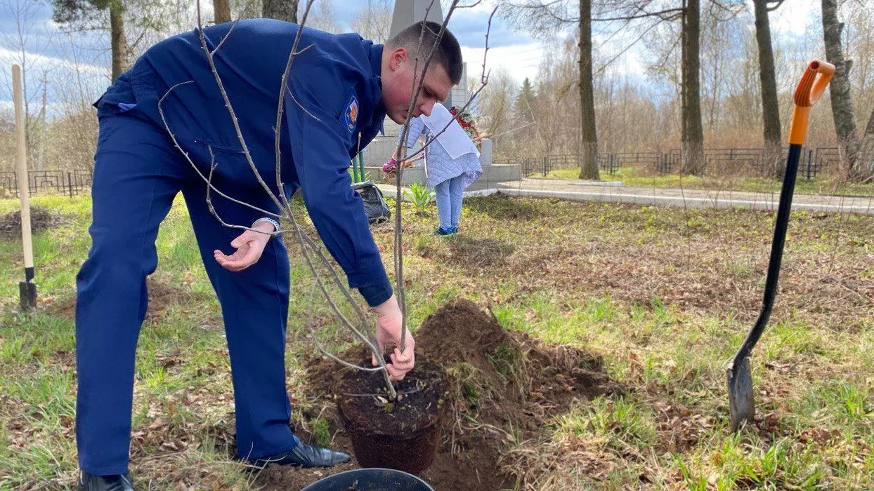 Фото: пресс-служба администрации г.о. Лосино-Петровский