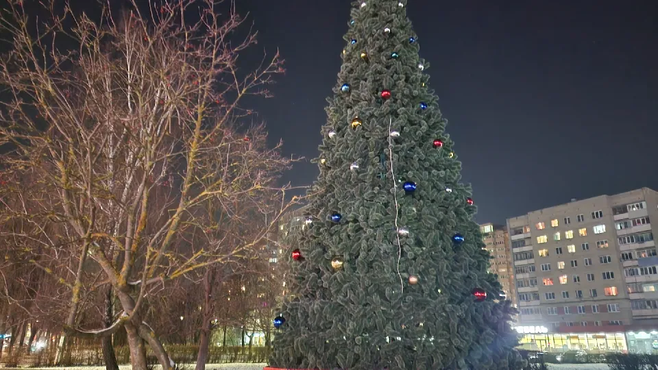 Фото: МедиаБанк Подмосковья/Мария Андрюхина