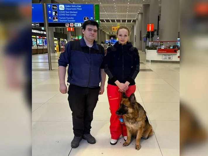 Выяснилось, как собаки помогали спасателям искать людей под завалами в Турции