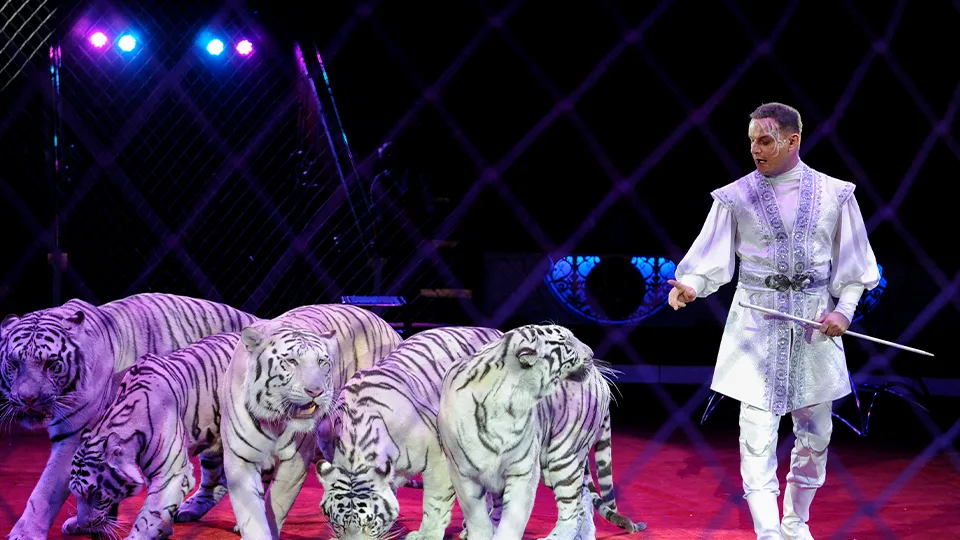 Фото: медиасток.рф