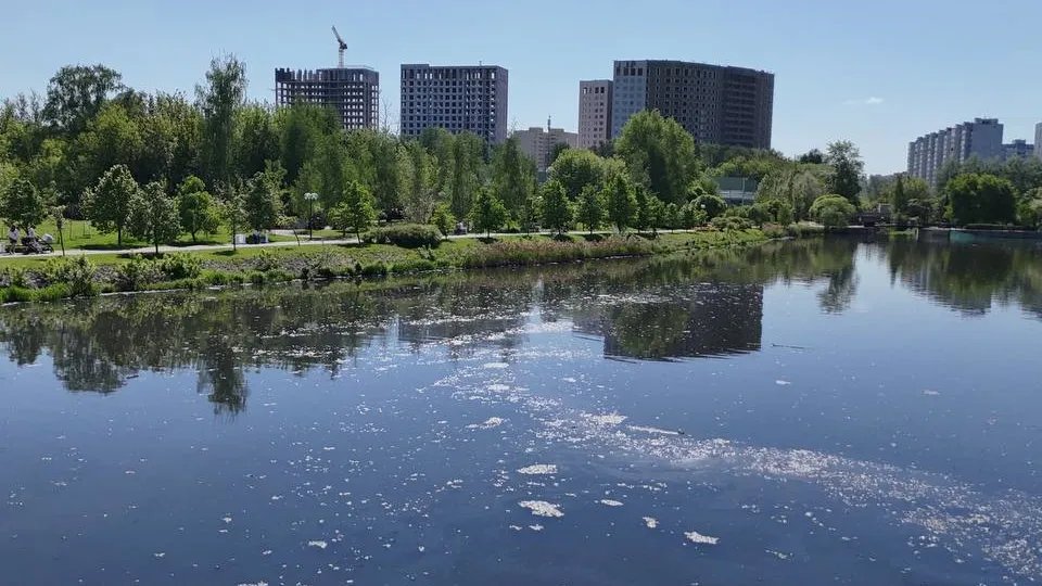 Фото: управление экологии городского округа Мытищи