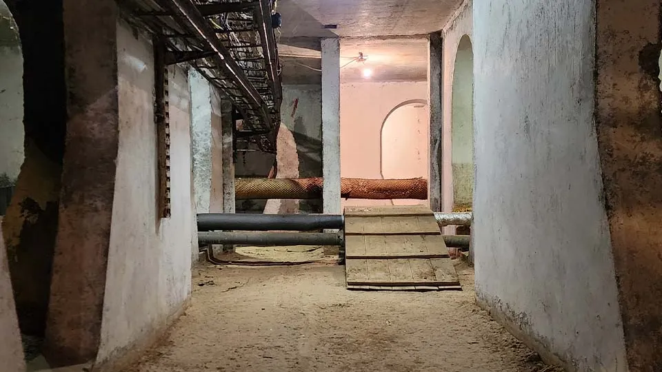 Фото: МедиаБанк Подмосковья/Максим Сафронов