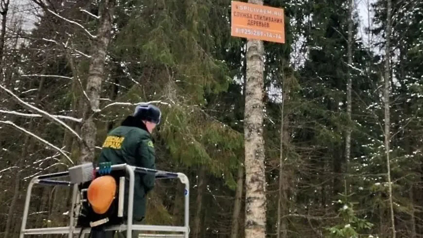 Сайт Комитета лесного хозяйства Московской области