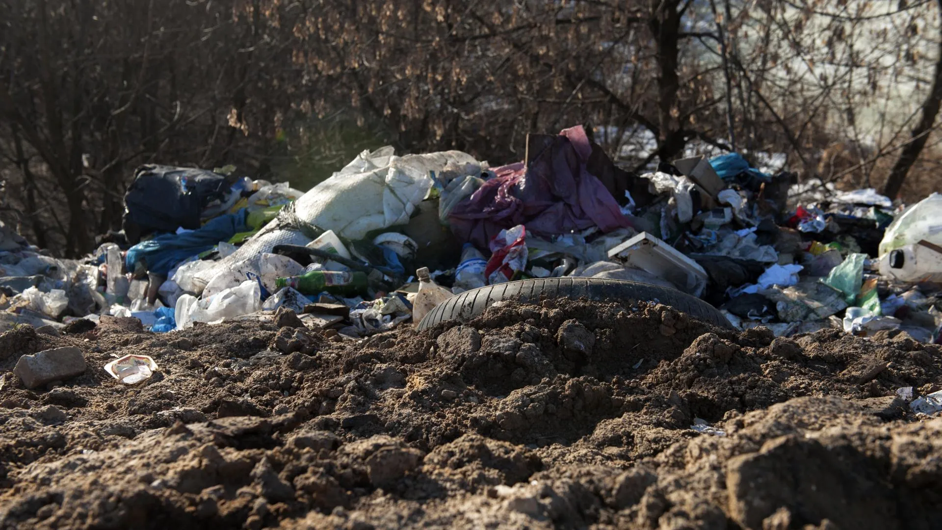 Татьяна Коробейник