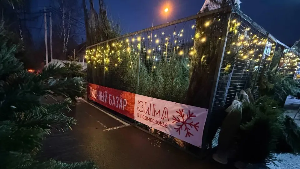 Фото: пресс-служба администрации м.о. Истра