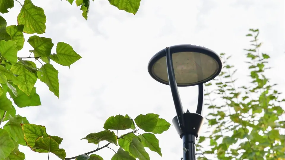 Фото: REGIONS/Наталья Бычкова