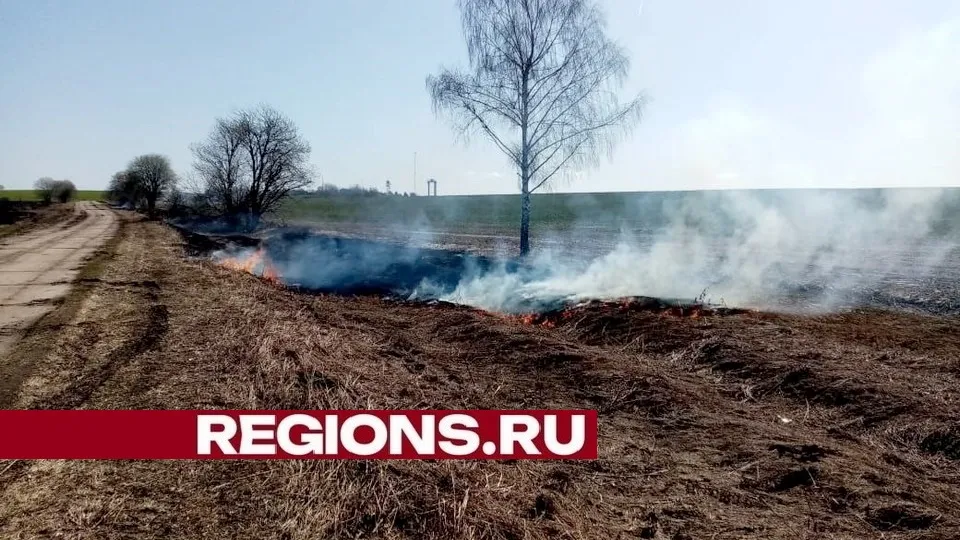 Фото: пресс-служба администрации городского округа Луховицы
