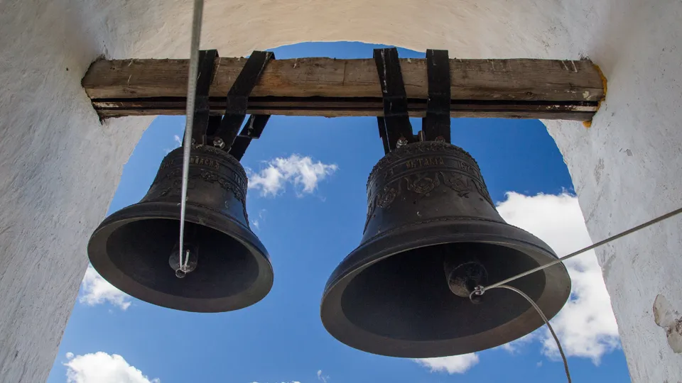 Фото: ТАСС/Мария Дмитриенко