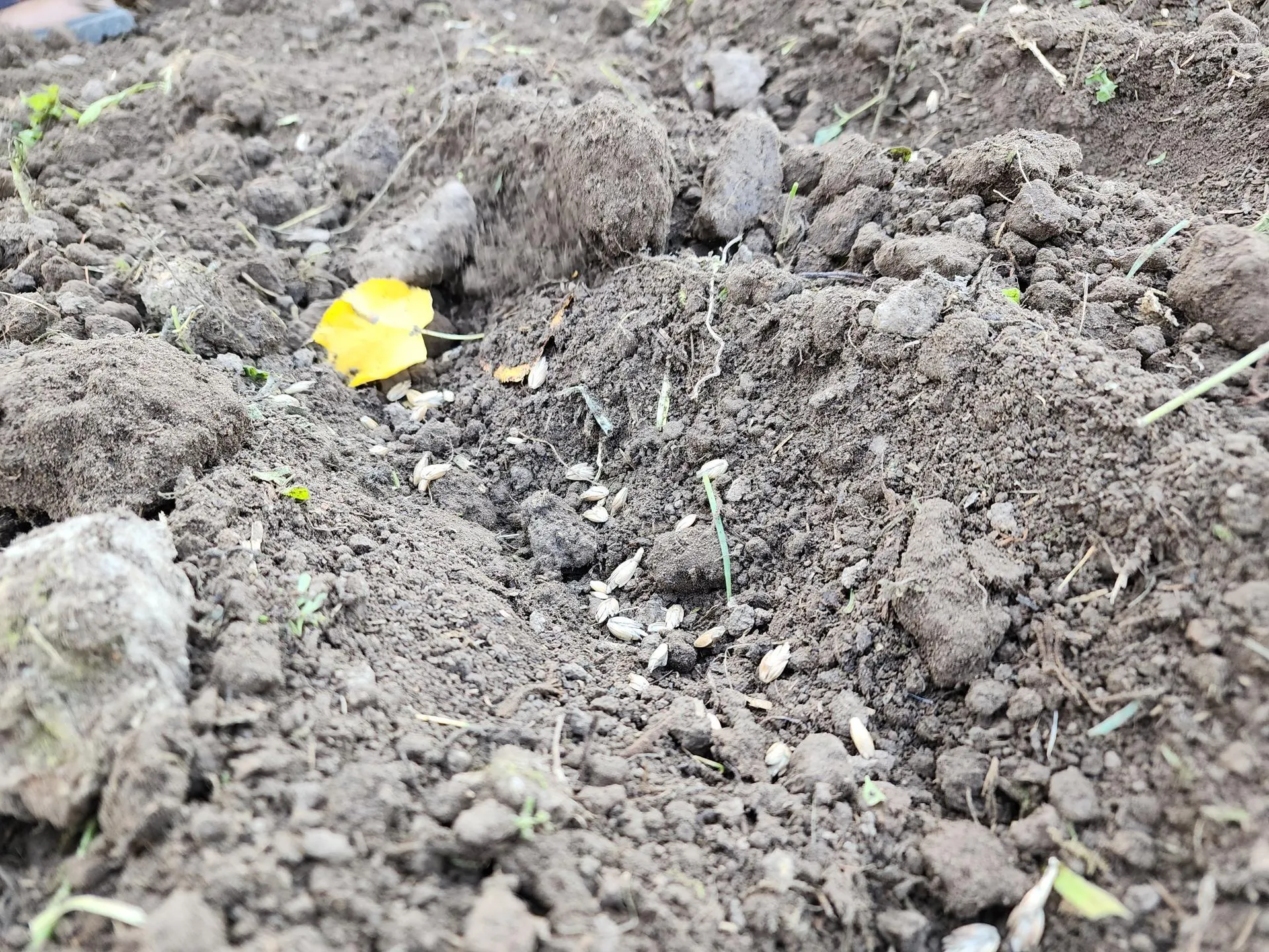 Фото: Андрей Семибратов