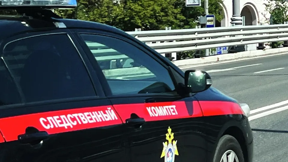 Фото: РИА Новости/Наталья Селиверстова