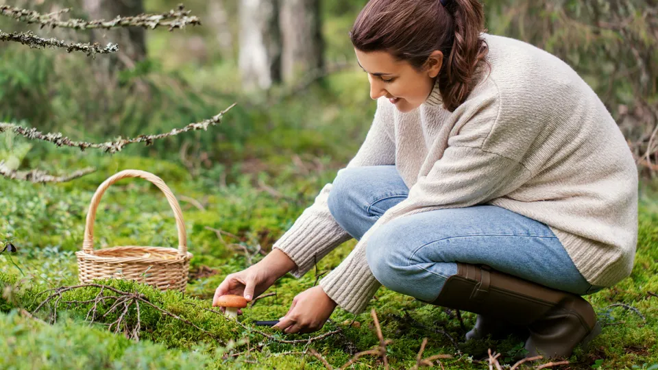 Фото: istockphoto.com