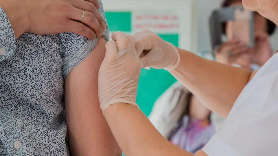 Фото: пресс-служба администрации г. о. Домодедово