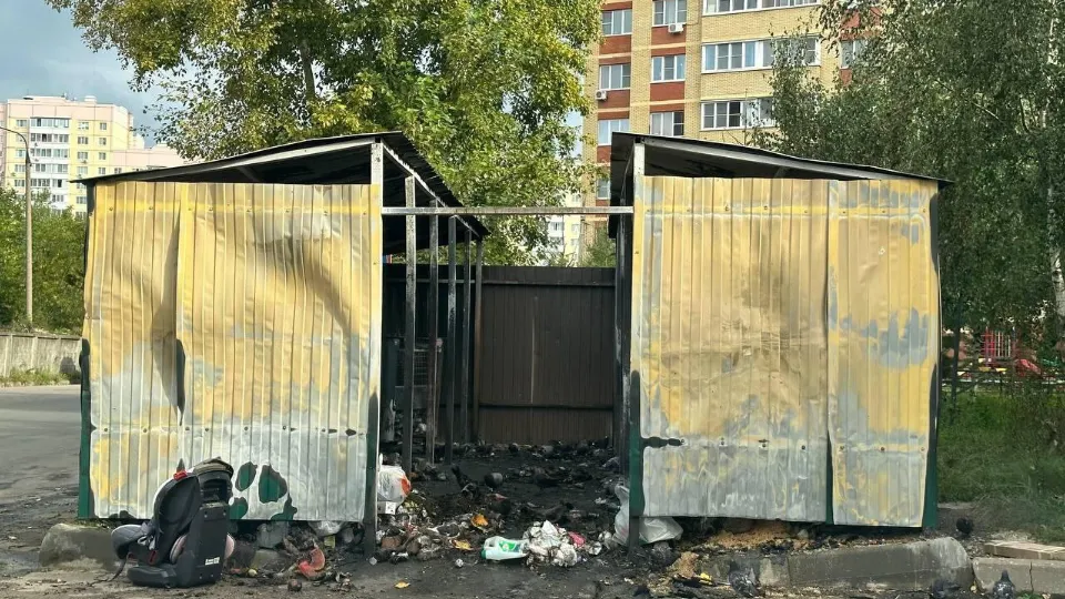 Фото: пресс-служба администрации г.о. Фрязино