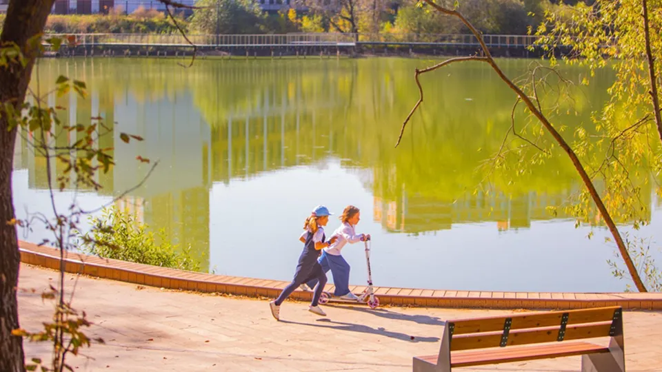 Фото: Министерство благоустройства Московской области