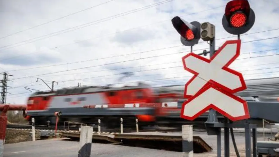 Фото: Министерство транспорта и дорожной инфраструктуры Московской области