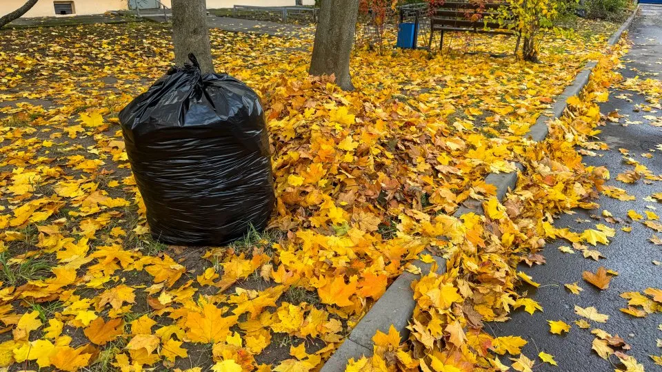 Фото: REGIONS/Владимир Ерастов