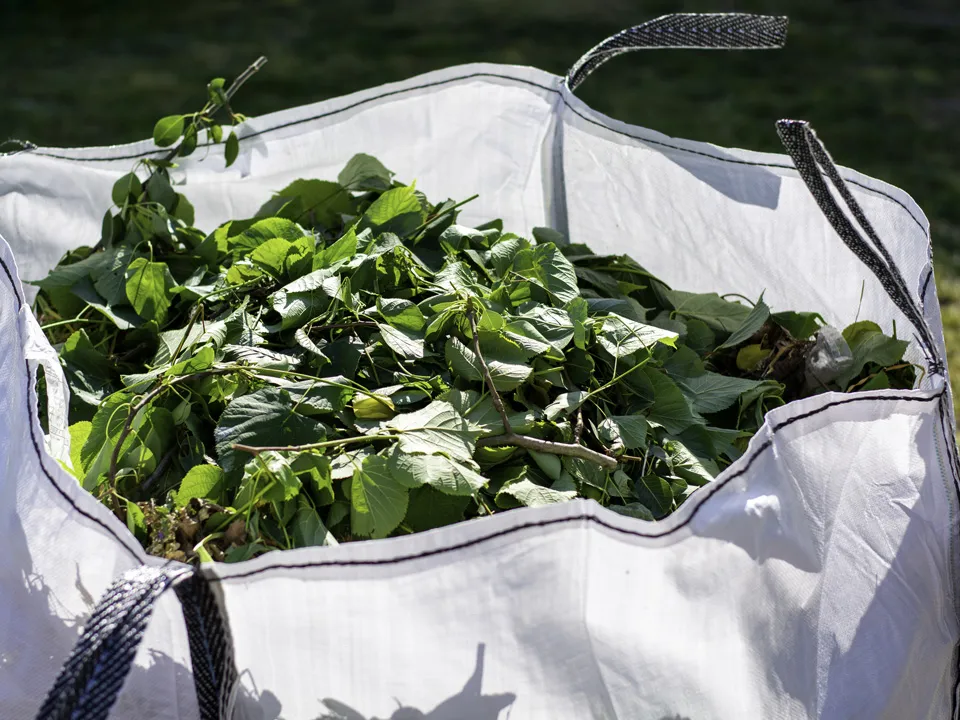 Фото: istockphoto.com