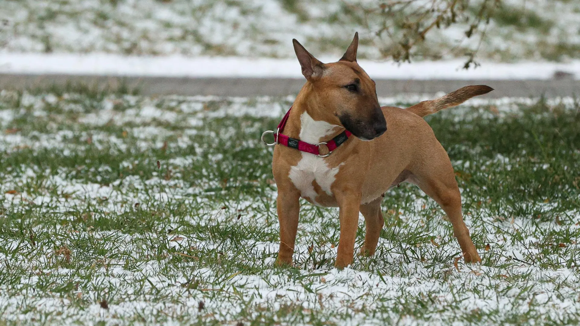 Bulkin Sergey/news.ru